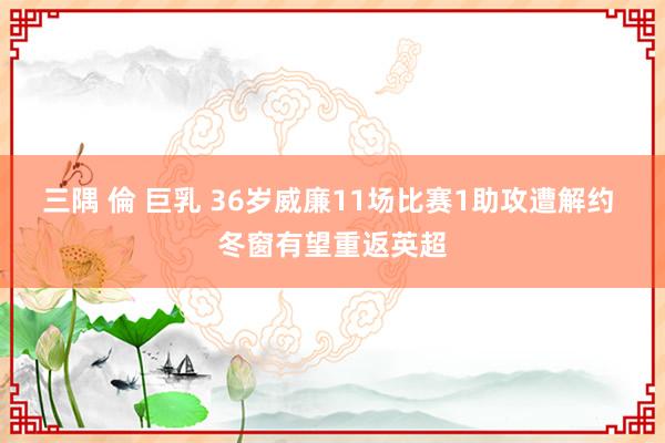 三隅 倫 巨乳 36岁威廉11场比赛1助攻遭解约 冬窗有望重返英超
