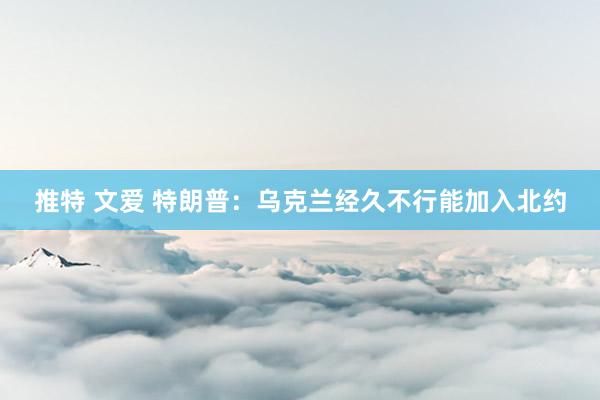 推特 文爱 特朗普：乌克兰经久不行能加入北约