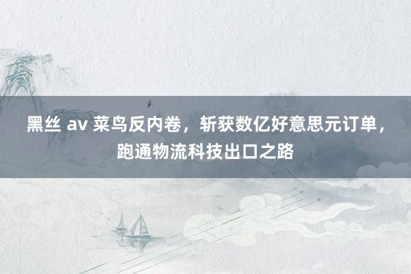 黑丝 av 菜鸟反内卷，斩获数亿好意思元订单，跑通物流科技出口之路
