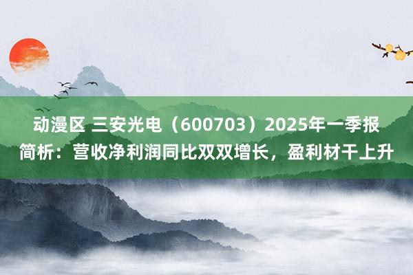 动漫区 三安光电（600703）2025年一季报简析：营收净利润同比双双增长，盈利材干上升
